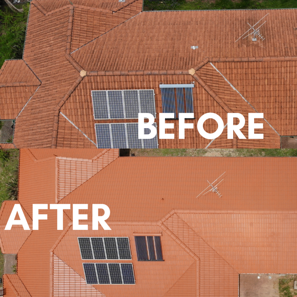 Roof painting