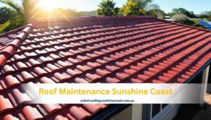 Roof Maintenance