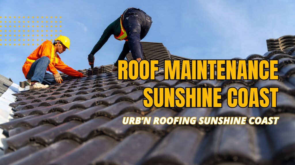Roof Maintenance